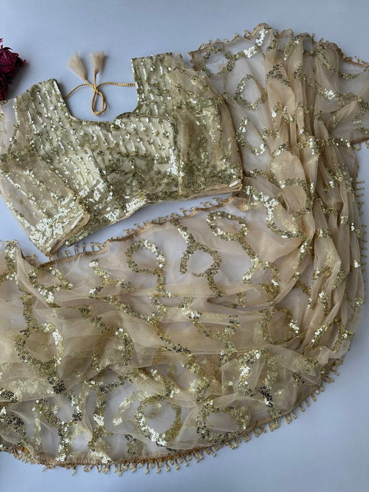 Women's Beige Gold Net Sequined Party Wear Saree